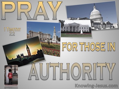 1 Timothy 2:2 Pray For Kings And All In Authority (gray)